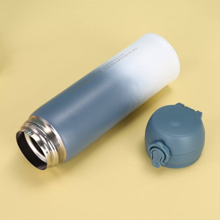 Термос «Vitality», black (500 ml) 