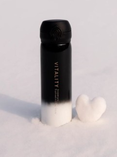 Термос «Vitality», black (500 ml)
