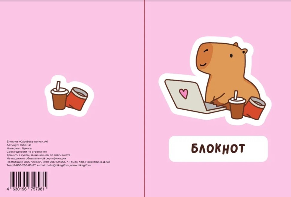 Блокнот А6 "Капибара работает",