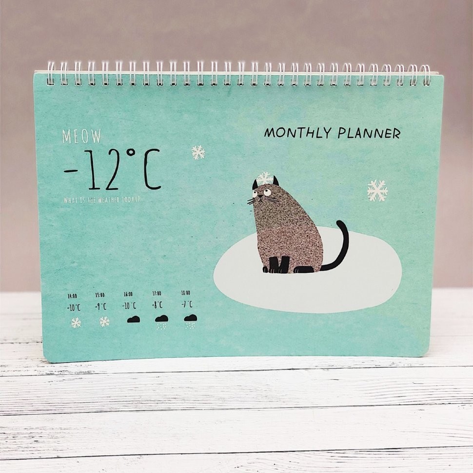 47800 Планнер "Meow" green