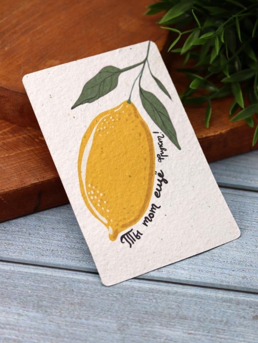 &quot;Растущая открытка Magicme&quot;, &quot;Ты тот еще фрукт&quot;, 10х15 см 