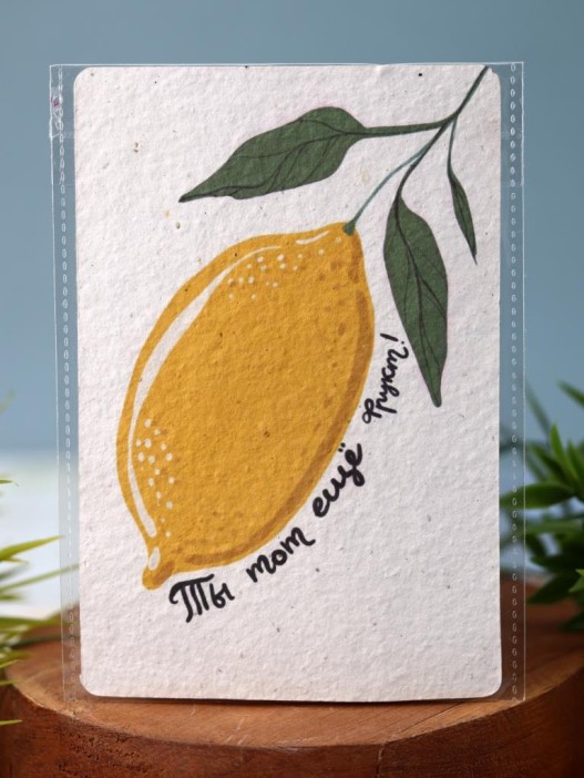 &quot;Растущая открытка Magicme&quot;, &quot;Ты тот еще фрукт&quot;, 10х15 см 