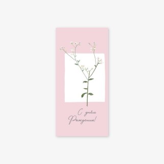 Набор конвертов для денег 5 шт. «Веточка цветов», 16.5*8 см