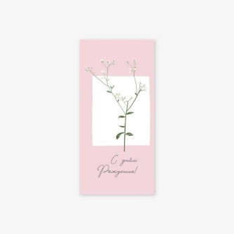 Набор конвертов для денег 5 шт. «Веточка цветов», 16.5*8 см