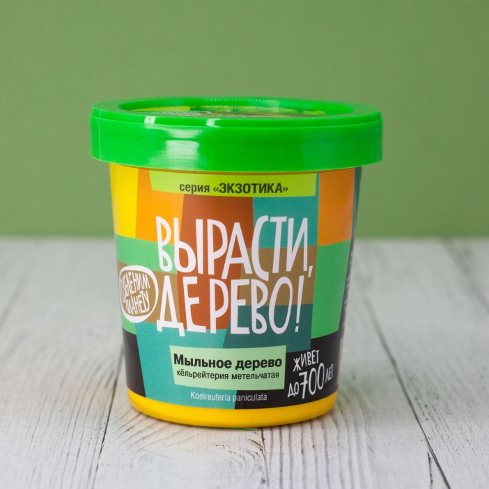 Набор для выращивания "Мыльное дерево" 