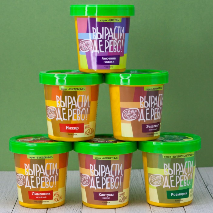 Набор для выращивания "Мыльное дерево" 