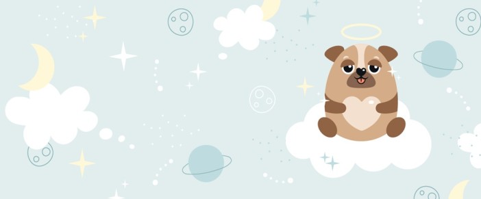 Обложка для студенческого «Space dog», плотность 600 мкм 