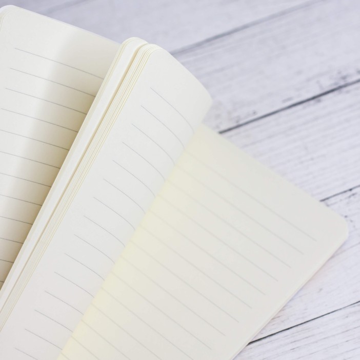 Тетрадь (A5) &quot;Lovely day dino&quot;, blue (13.5*20.5) 