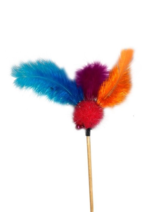 Махалка для кошек &quot;Цветные перья&quot;, 50 см 