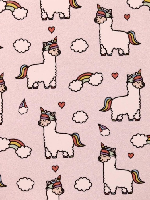 Держатель для карт Edinolama (6,5 х 9,5 см) 