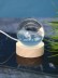 Ночник 3D iLikeGift «Planet of dinosaurs» (6 см) 