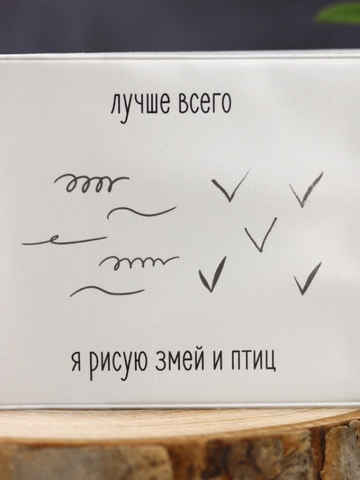 Обложка для студенческого "Лучше всего я рисую змей и птиц"