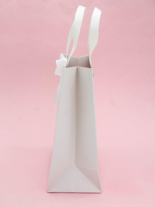 Пакет подарочный «Festive», mirror (18*23*10) 