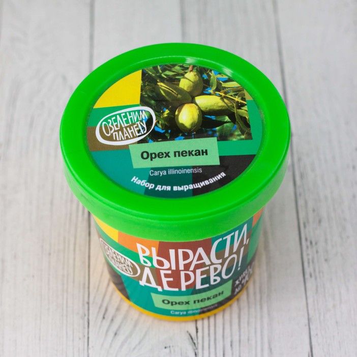 Набор для выращивания "Орех пекан" 