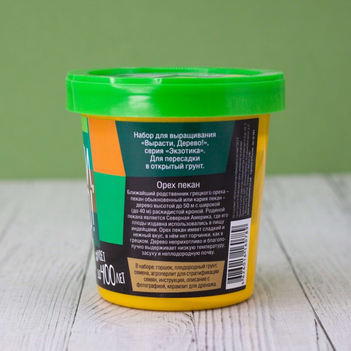 Набор для выращивания "Орех пекан" 