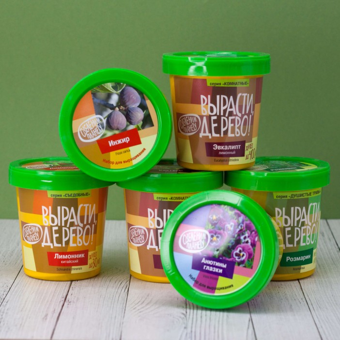 Набор для выращивания "Орех пекан" 