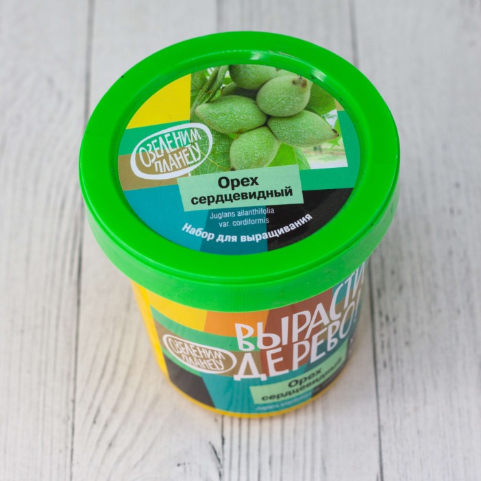 Набор для выращивания "Орех сердцевидный" 