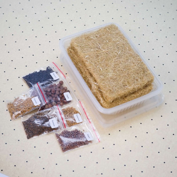 Набор для выращивания микрозелени "Plant Republic", "6 урожаев" 