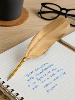 Ручка шариковая "Волшебное перо", цвет чернил синий, mix