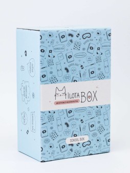 MilotaBox мини "Школьный Бокс"