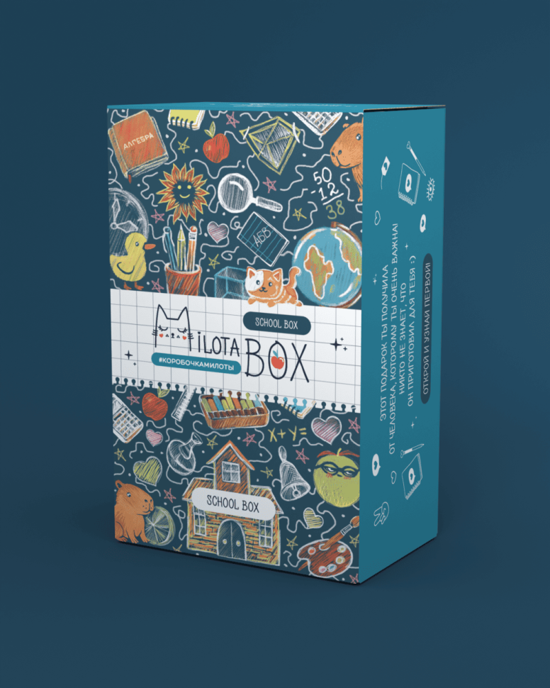 MilotaBox мини "Школьный Бокс"