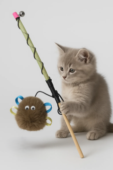 Махалка для кошек на пружине "Норковый зверек", 50 см