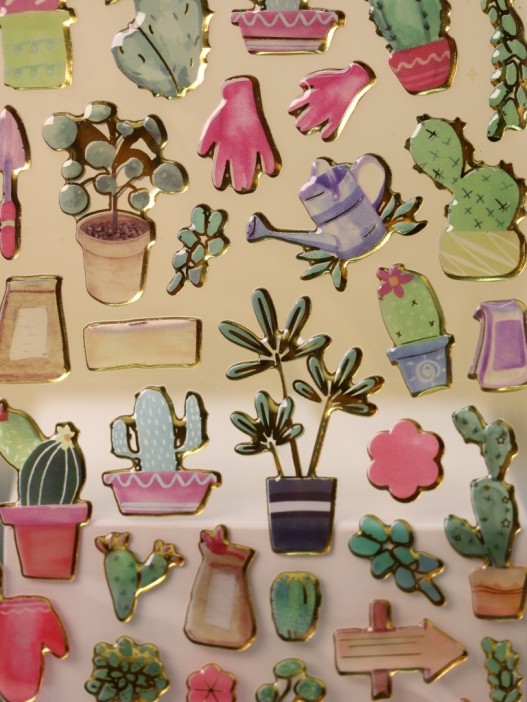 Наклейки &quot;Сacti&quot; 