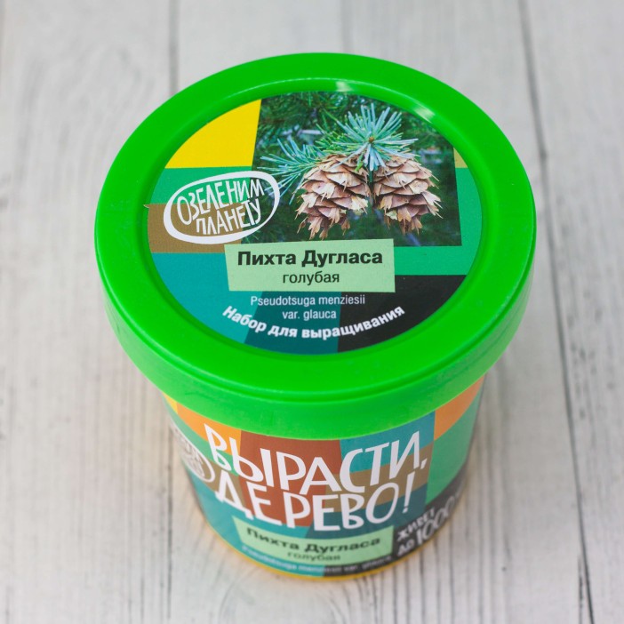 Набор для выращивания &quot;Пихта Дугласа голубая&quot; 
