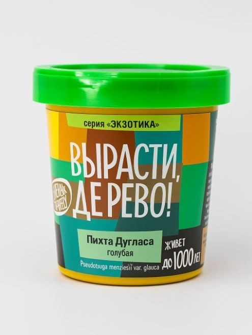 Набор для выращивания "Пихта Дугласа голубая"