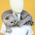 Мягкая игрушка "Кот Басик игрушка-подушка на шею" (30 см)