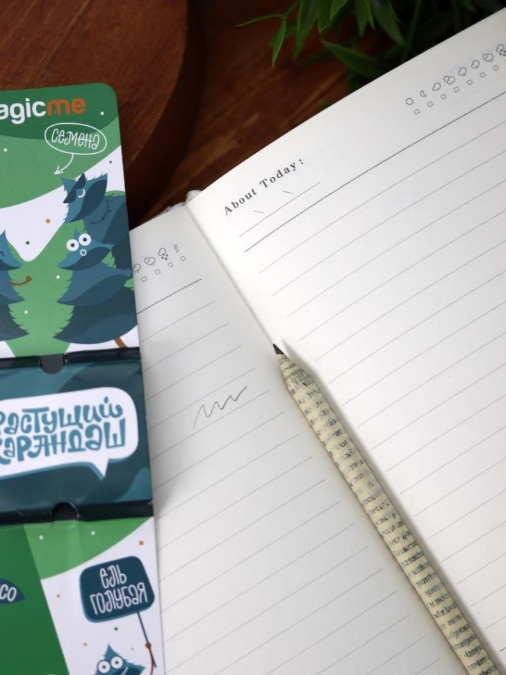 Растущий карандаш Magicme - Ель Голубая