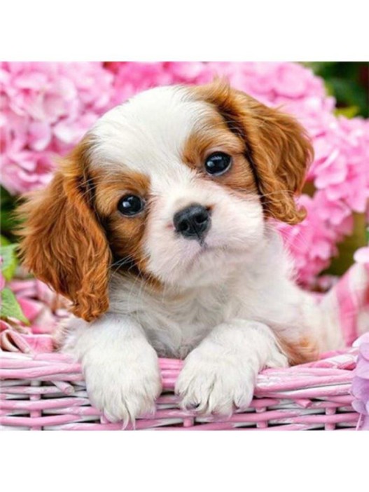 Алмазная мозаика без подрамника &quot;Щенок в корзине&quot;, 20х20 см 