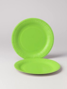 Набор бумажных тарелок 20 шт. "Party green" (230 мм)