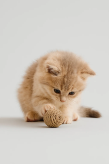 Игрушка для кошек "Звенящий шар из джута"