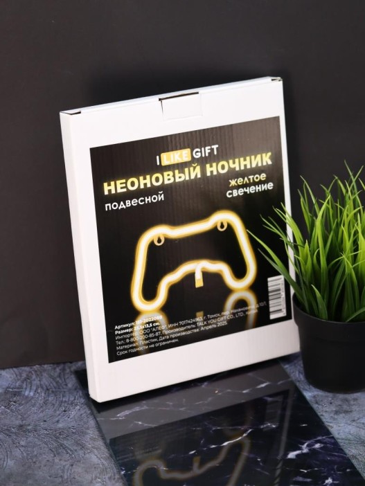 Неоновый подвесной ночник &quot;Final game&quot;, тёплое свечение (23,5*13,5 см) 