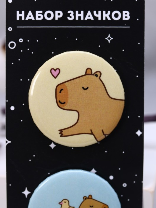 Набор значков «Capybara and duck» 