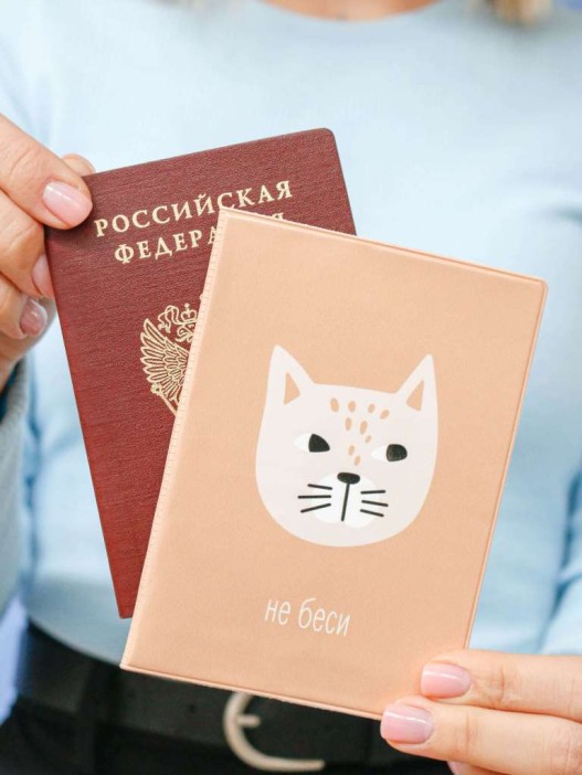 ОБЛОЖКА ДЛЯ ПАСПОРТА «Не беси», плотность 600 мкм 
