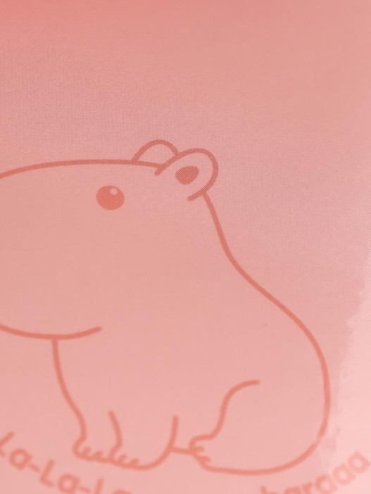 Дневник школьный для 1-11 классов &quot;Капибара&quot;, 40л (22,3x17,7 см) 