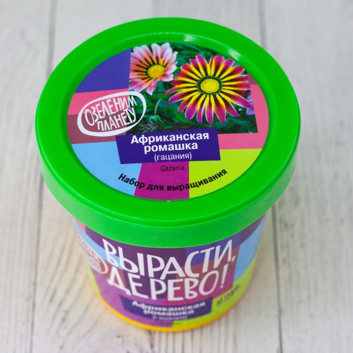 Набор для выращивания "Ромашка африканская" 