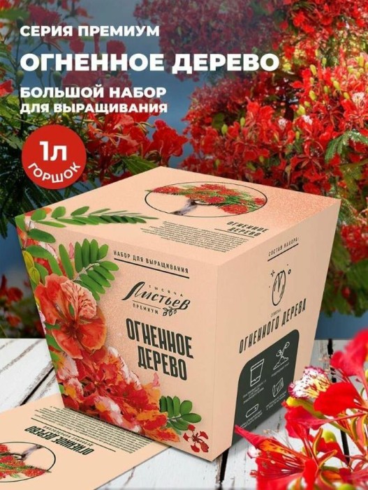Набор д/выращивания &quot;Тысяча листьев премиум&quot;, &quot;Огненное дерево&quot; 