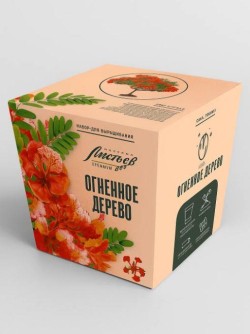 Набор д/выращивания "Тысяча листьев премиум", "Огненное дерево"