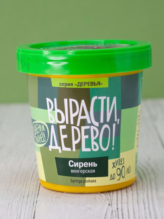 Набор для выращивания "Сирень венгерская" 