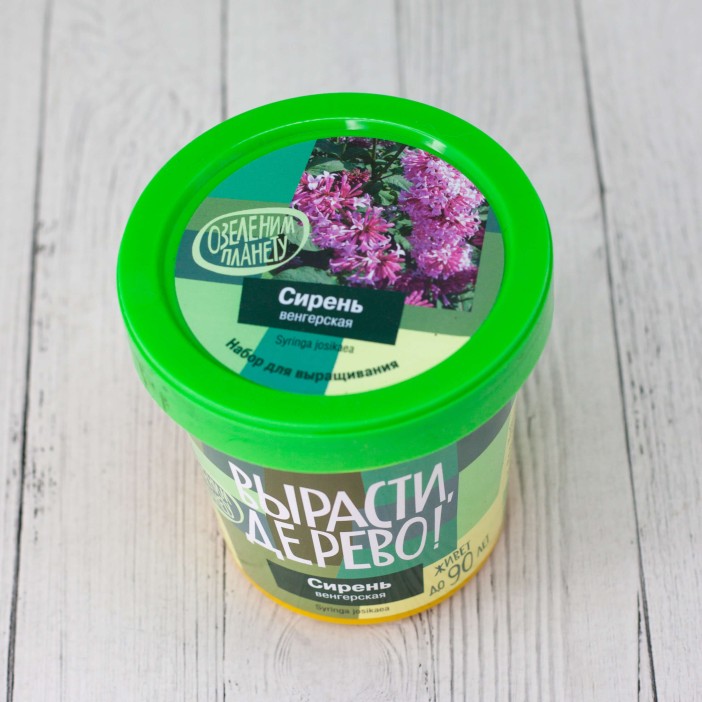 Набор для выращивания "Сирень венгерская" 