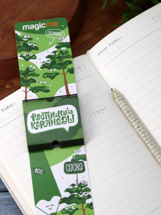 &quot;Растущий карандаш Magicme&quot; - Сосна Обыкновенная 