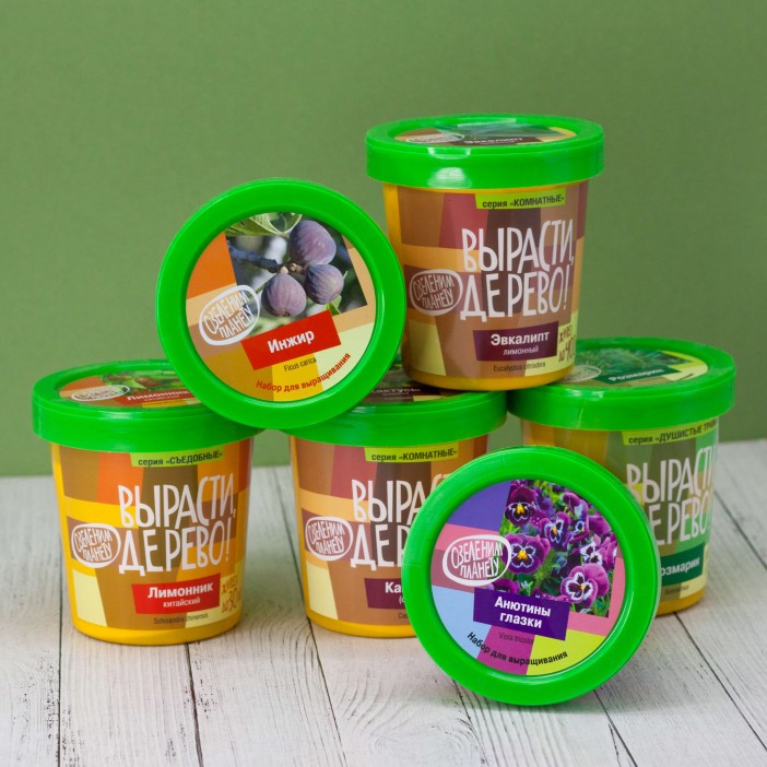 Набор для выращивания "Сосна Веймутова" 