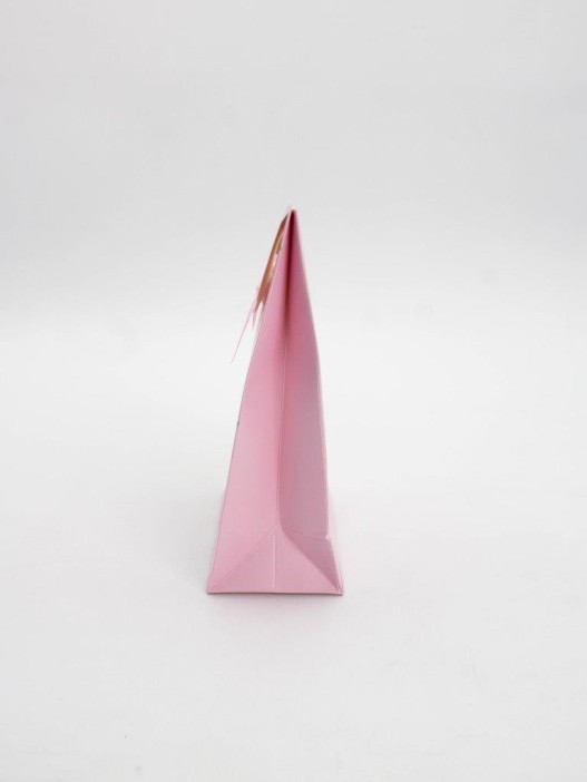 Пакет подарочный (XS) &quot;Colorful serpentine&quot;, pink (12x6x16) 