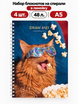Набор блокнотов на спирали в линейку А5 Draw Me! 4шт. "В лучах сияния ", 48л.