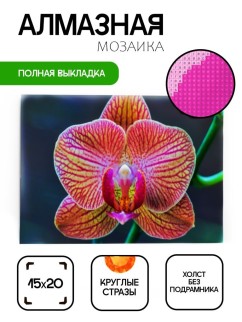 Алмазная мозаика без подрамника &quot;Орхидея 2&quot;, 15х20 см