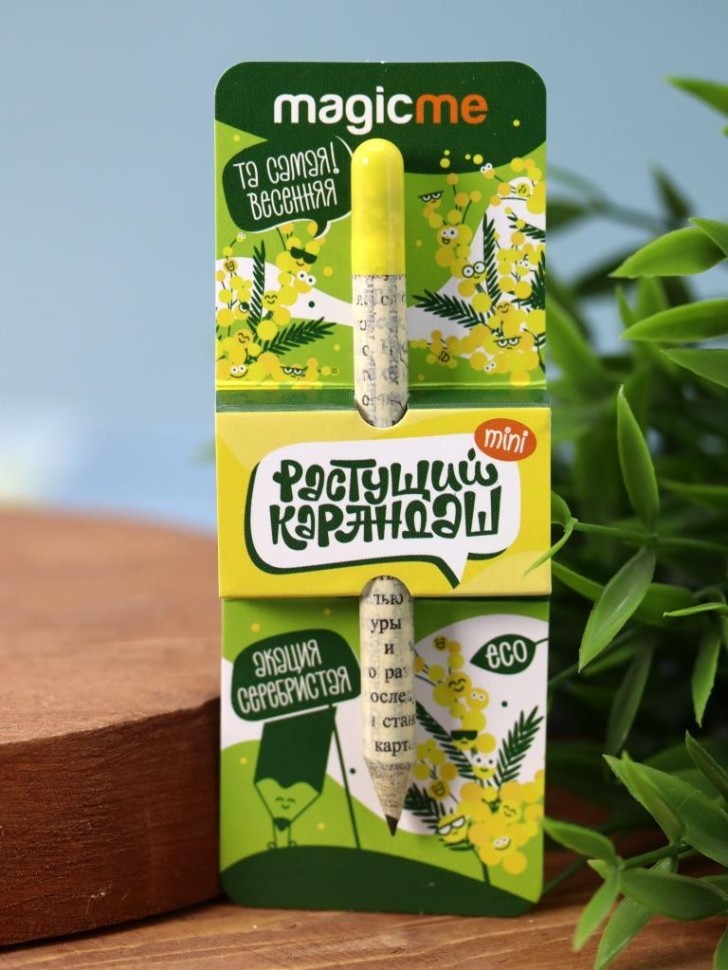 Растущий карандаш Magicme mini - Акация Серебристая