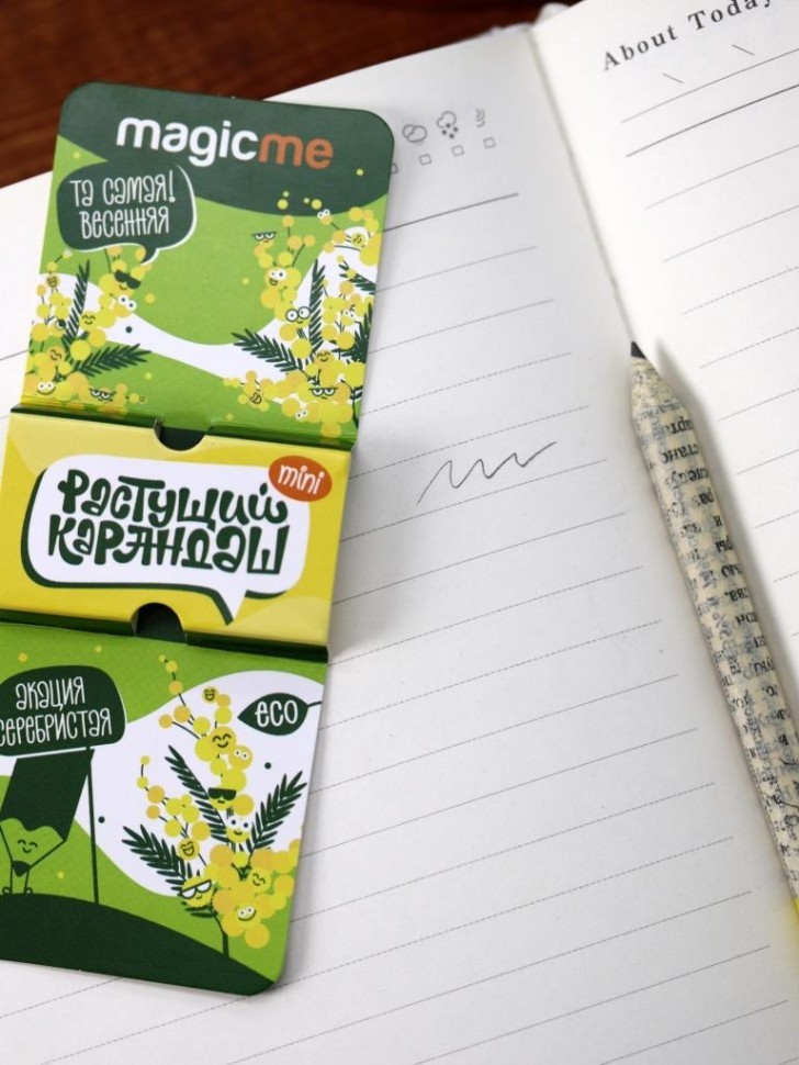 Растущий карандаш Magicme mini - Акация Серебристая